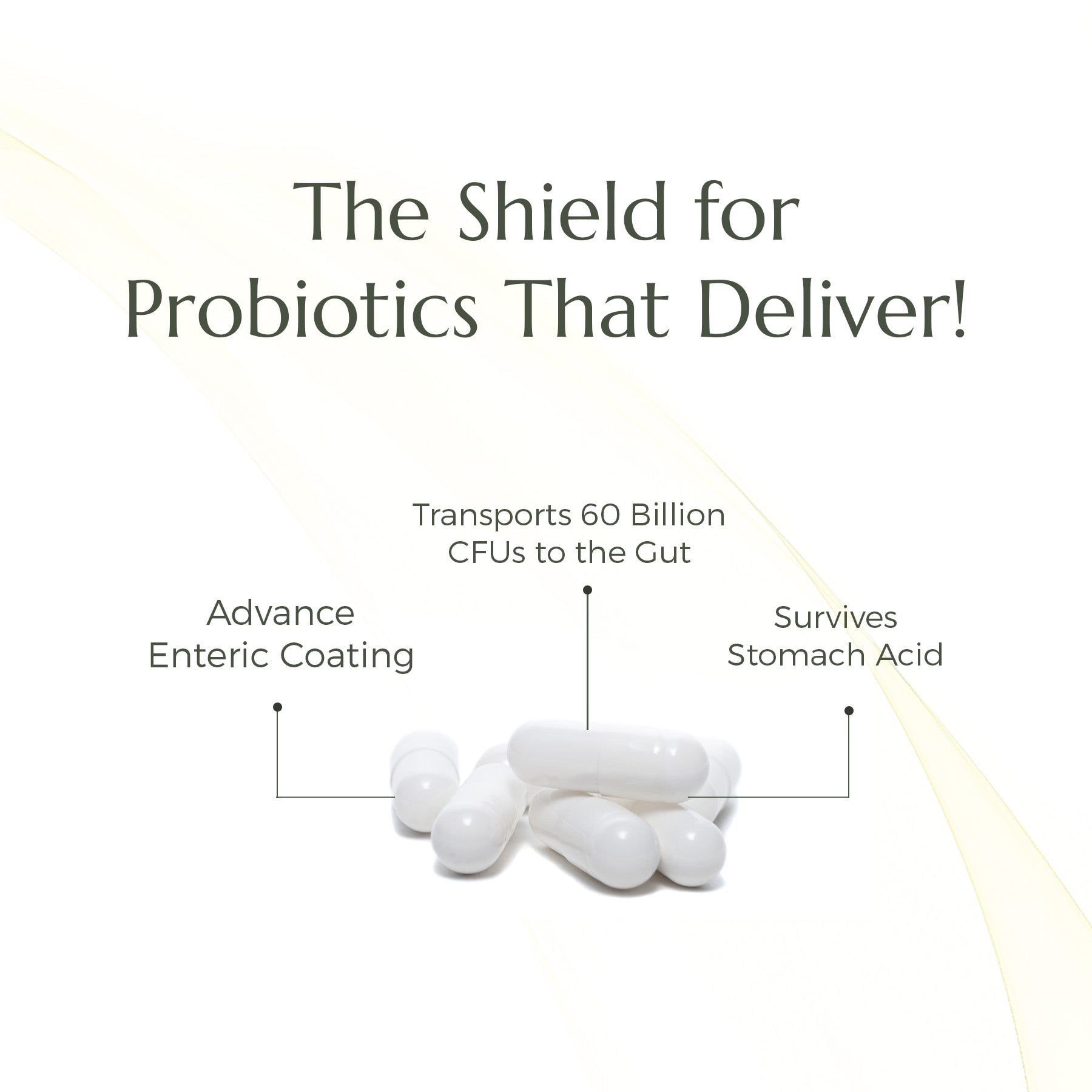 Probiotic & Prebiotic Blend