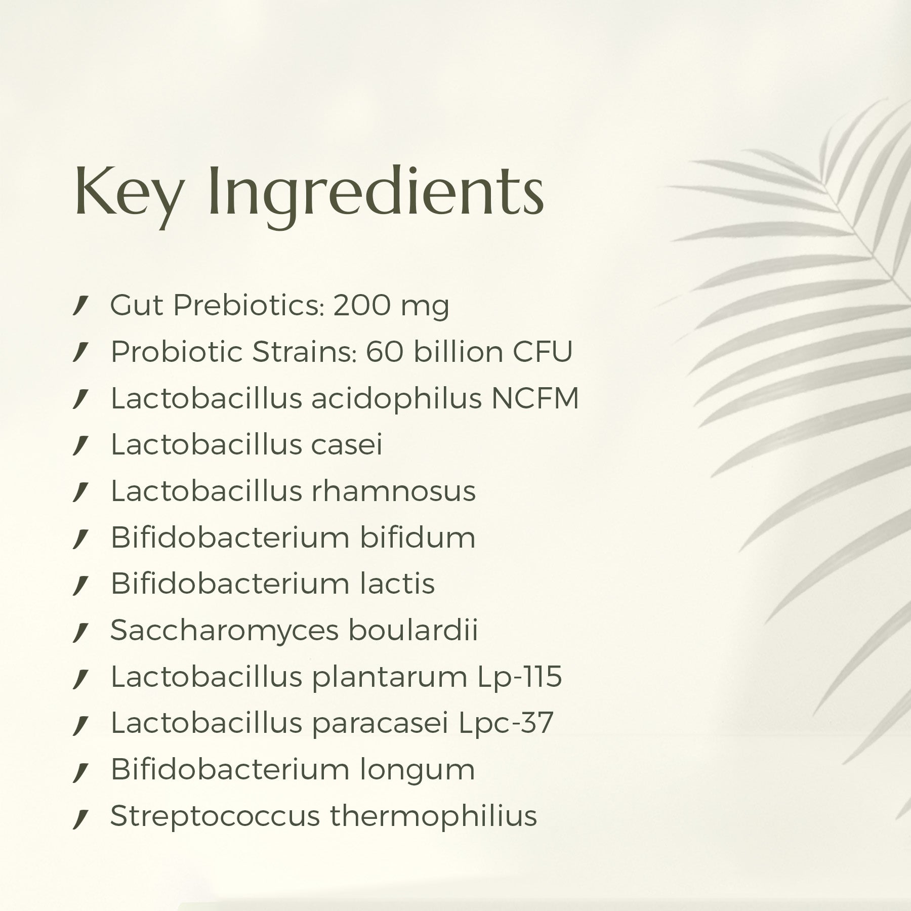 Probiotic & Prebiotic Blend