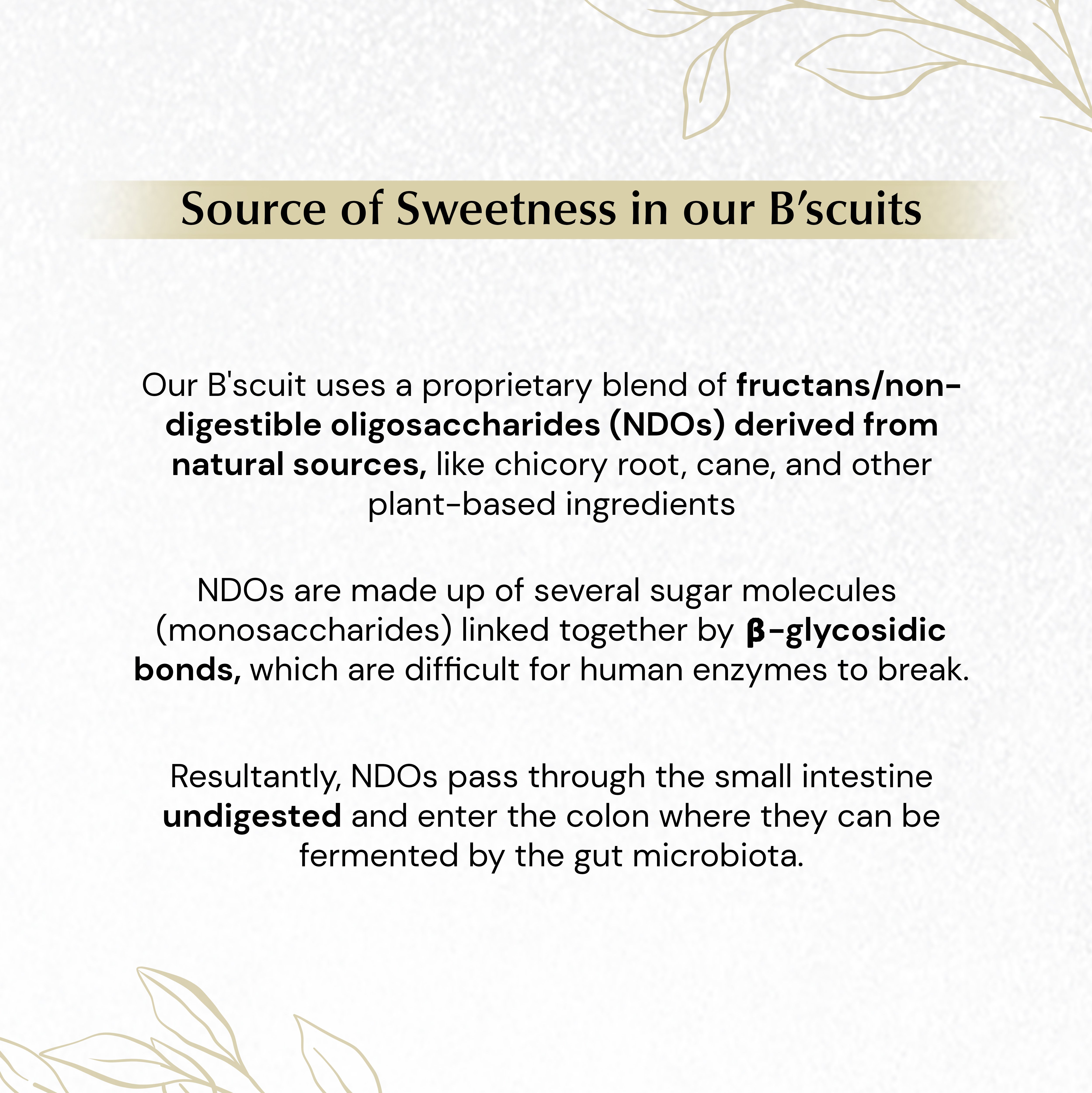 بدون شوكة - كوكيز حلوة